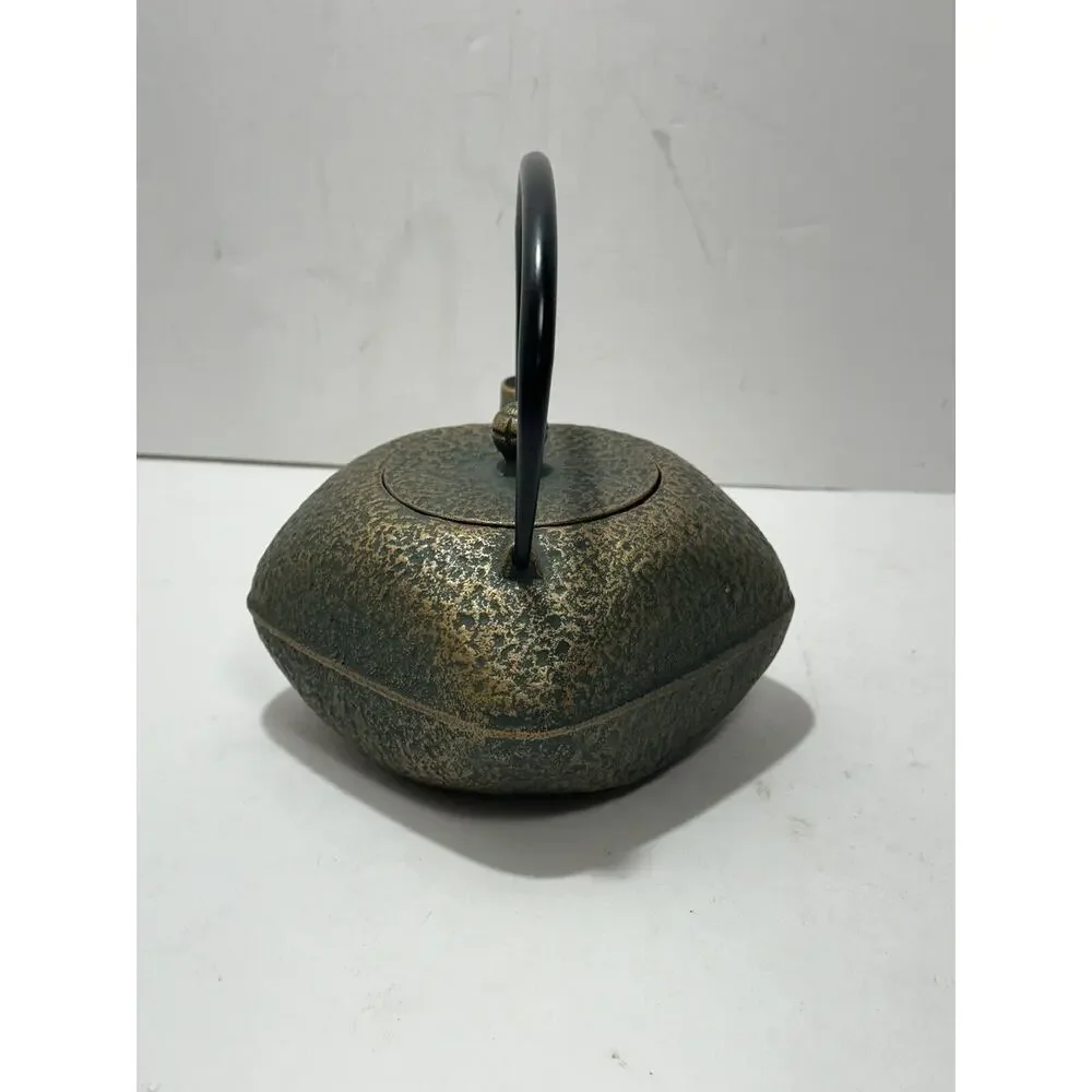 Japanese Rock Casting Iron Tea Pot‎ Kettle With Infuser Gorgeous Teapot Japan